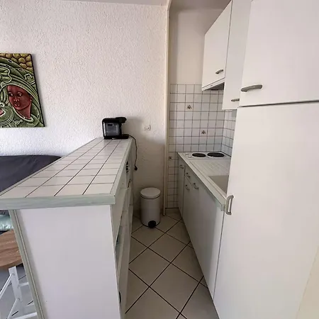 Apartment Confortable Avec Terrasse, Piscine, Parking Prive, A 100m De La - 4 Pers - Fr-1-731-79 *