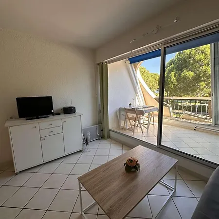 Confortable Avec Terrasse, Piscine, Parking Prive, A 100m De La - 4 Pers - Fr-1-731-79 *