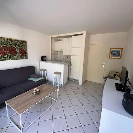 Confortable Avec Terrasse, Piscine, Parking Prive, A 100m De La - 4 Pers - Fr-1-731-79 *