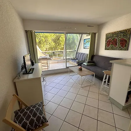 Confortable Avec Terrasse, Piscine, Parking Prive, A 100m De La - 4 Pers - Fr-1-731-79