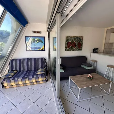 Apartment Confortable Avec Terrasse, Piscine, Parking Prive, A 100m De La - 4 Pers - Fr-1-731-79