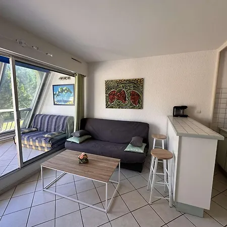 Confortable Avec Terrasse, Piscine, Parking Prive, A 100m De La - 4 Pers - Fr-1-731-79 Apartmán Le Grau-du-Roi