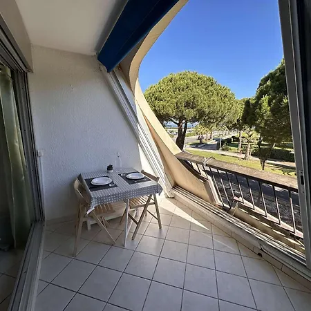 Confortable Avec Terrasse, Piscine, Parking Prive, A 100m De La - 4 Pers - Fr-1-731-79 Apartment *