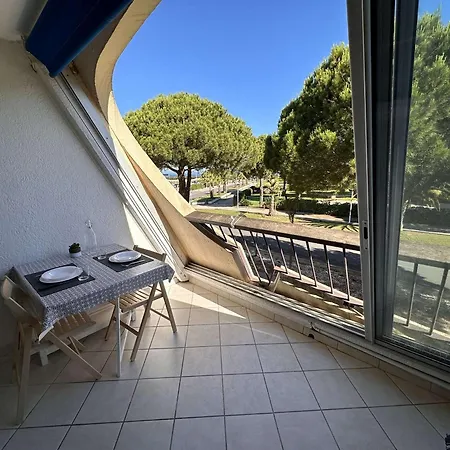 Apartment Confortable Avec Terrasse, Piscine, Parking Prive, A 100m De La - 4 Pers - Fr-1-731-79 *