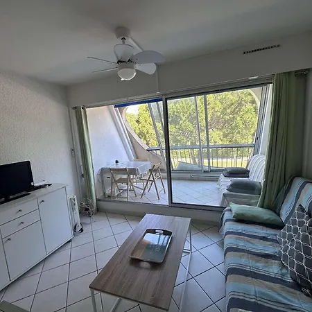 Confortable Avec Terrasse, Piscine, Parking Prive, A 100m De La - 4 Pers - Fr-1-731-79 Apartment *