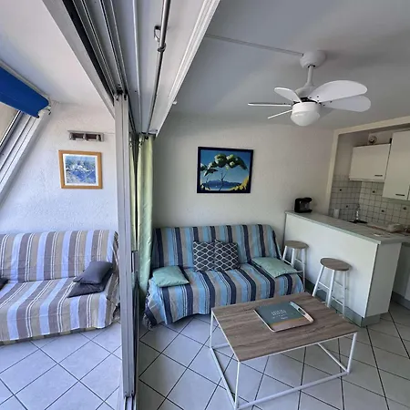 Confortable Avec Terrasse, Piscine, Parking Prive, A 100m De La - 4 Pers - Fr-1-731-79 Apartment Le Grau-du-Roi