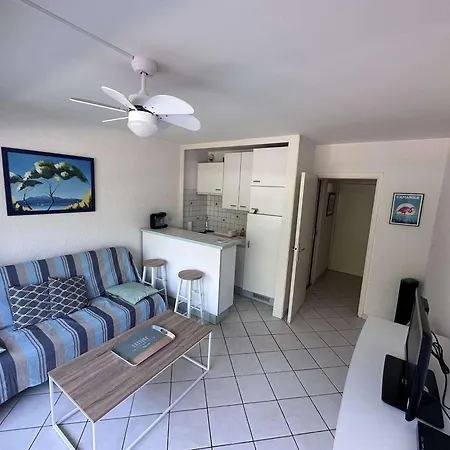 Confortable Avec Terrasse, Piscine, Parking Prive, A 100m De La - 4 Pers - Fr-1-731-79 *