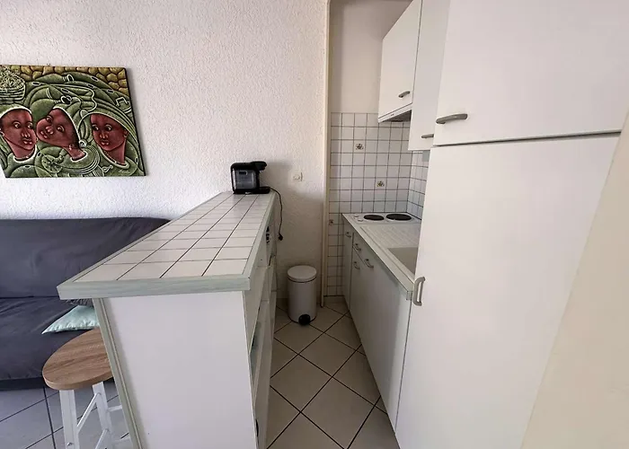 Apartament Confortable Avec Terrasse, Piscine, Parking Prive, A 100m De La - 4 Pers - Fr-1-731-79 *