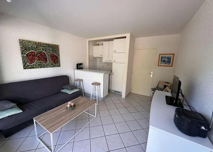 Confortable Avec Terrasse, Piscine, Parking Prive, A 100m De La - 4 Pers - Fr-1-731-79 *