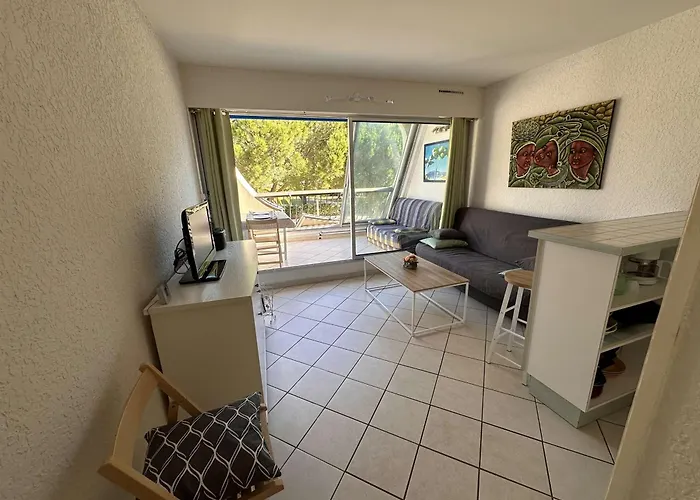 Confortable Avec Terrasse, Piscine, Parking Prive, A 100m De La - 4 Pers - Fr-1-731-79