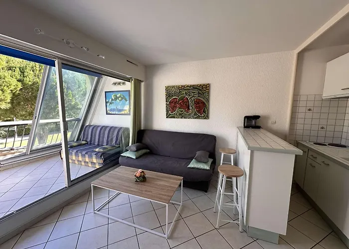 Confortable Avec Terrasse, Piscine, Parking Prive, A 100m De La - 4 Pers - Fr-1-731-79 Apartament Le Grau-du-Roi